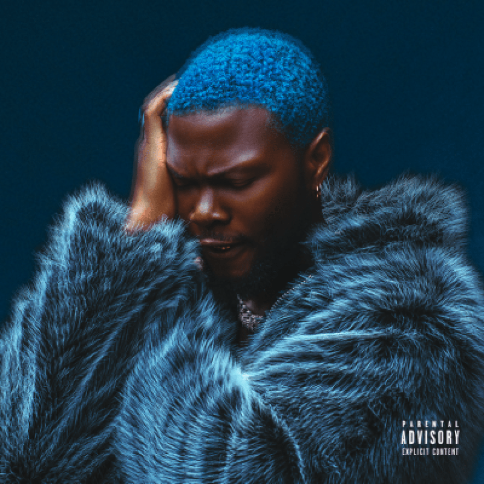 Wurld – Gucci 1 Wurld – Gucci - Featured Image