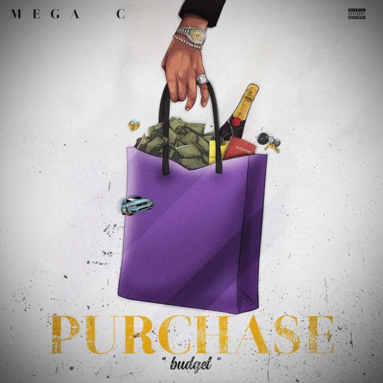 Mega C – Purchase (Budget) - Featured Image