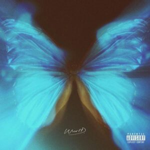 WurlD – Story